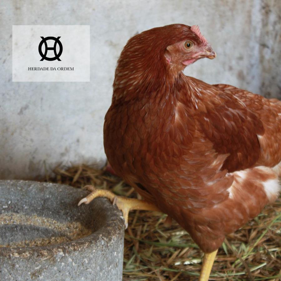 Herdade Da Ordem Cabeco de Vide Ngoại thất bức ảnh